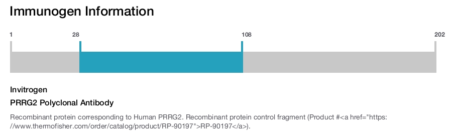 PRRG2 Polyclonal Antibody