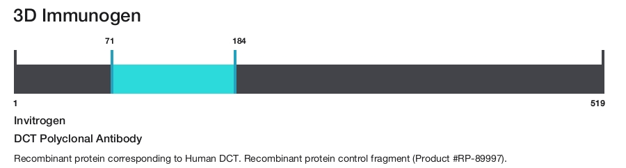 DCT Polyclonal Antibody
