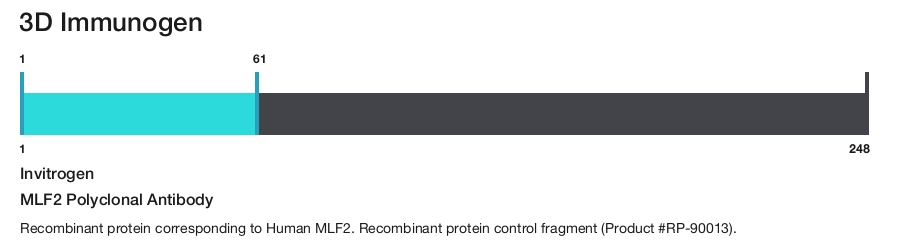 MLF2 Polyclonal Antibody