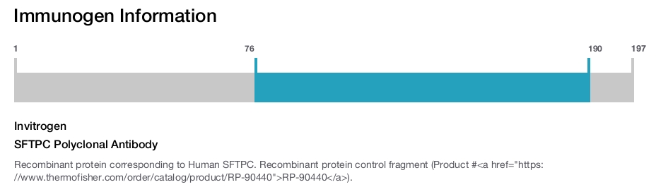 SFTPC Polyclonal Antibody