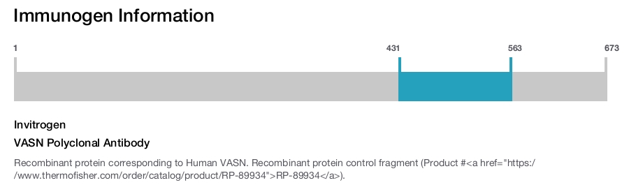 VASN Polyclonal Antibody