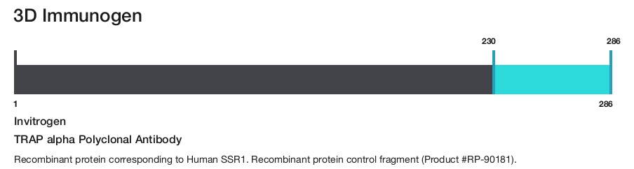 TRAP alpha Polyclonal Antibody