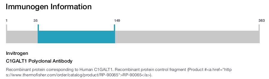 C1GALT1 Polyclonal Antibody