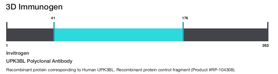 UPK3BL Polyclonal Antibody