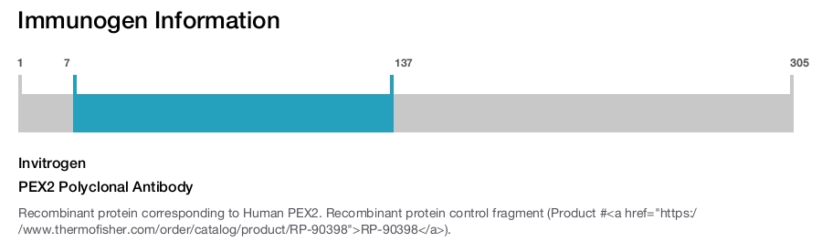 PEX2 Polyclonal Antibody