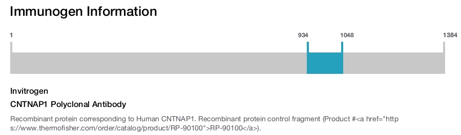 CNTNAP1 Polyclonal Antibody