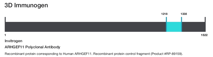 ARHGEF11 Polyclonal Antibody