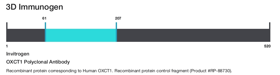 OXCT1 Polyclonal Antibody
