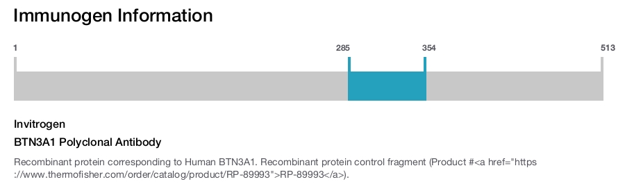 BTN3A1 Polyclonal Antibody