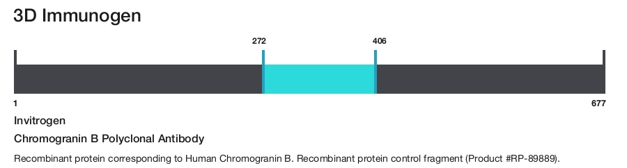 Chromogranin B Polyclonal Antibody