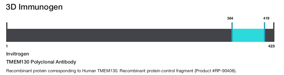 TMEM130 Polyclonal Antibody
