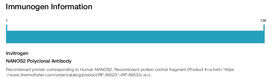 NANOS2 Polyclonal Antibody