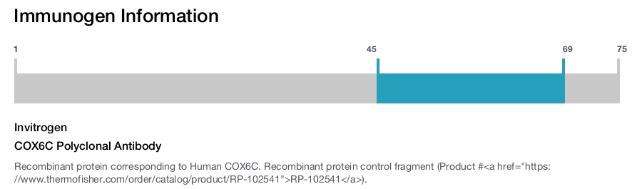 COX6C Polyclonal Antibody