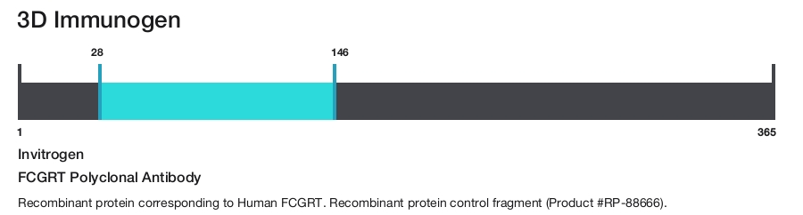FCGRT Polyclonal Antibody