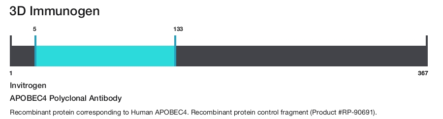 APOBEC4 Polyclonal Antibody