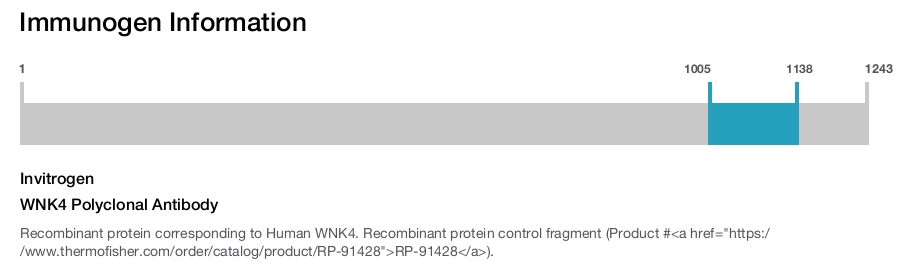 WNK4 Polyclonal Antibody