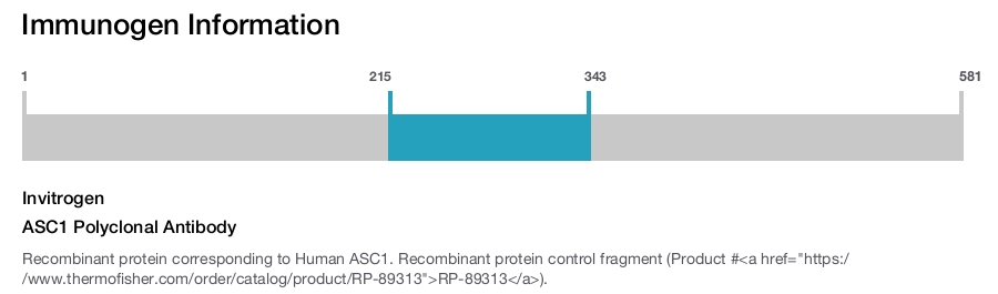ASC1 Polyclonal Antibody