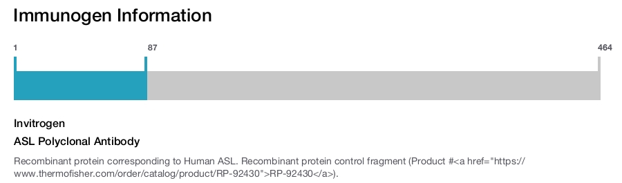 ASL Polyclonal Antibody