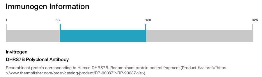 DHRS7B Polyclonal Antibody