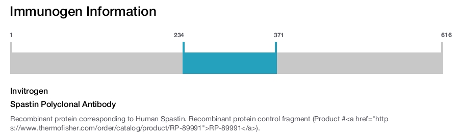 Spastin Polyclonal Antibody