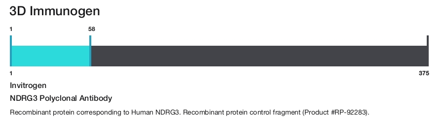 NDRG3 Polyclonal Antibody