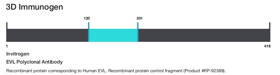 EVL Polyclonal Antibody