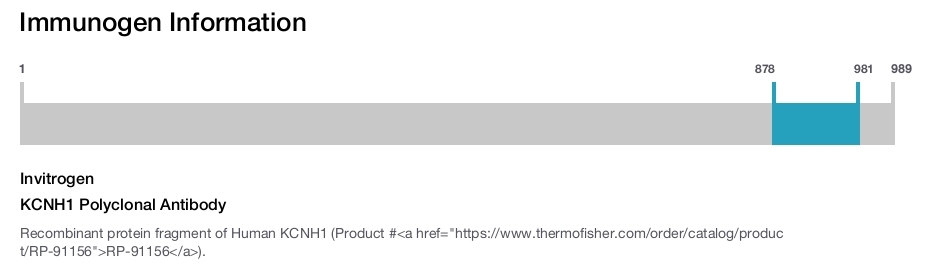 KCNH1 Polyclonal Antibody