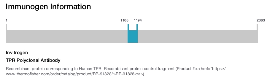 TPR Polyclonal Antibody