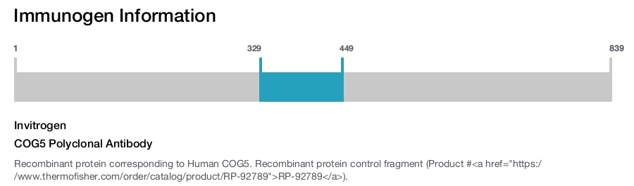 COG5 Polyclonal Antibody