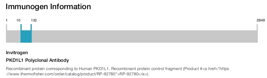 PKD1L1 Polyclonal Antibody