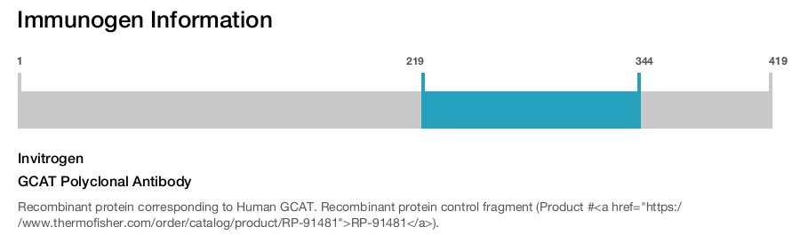 GCAT Polyclonal Antibody