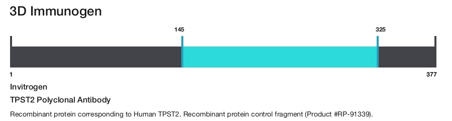 TPST2 Polyclonal Antibody