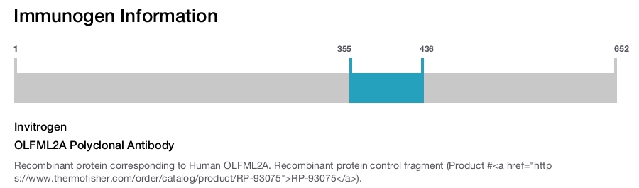 OLFML2A Polyclonal Antibody