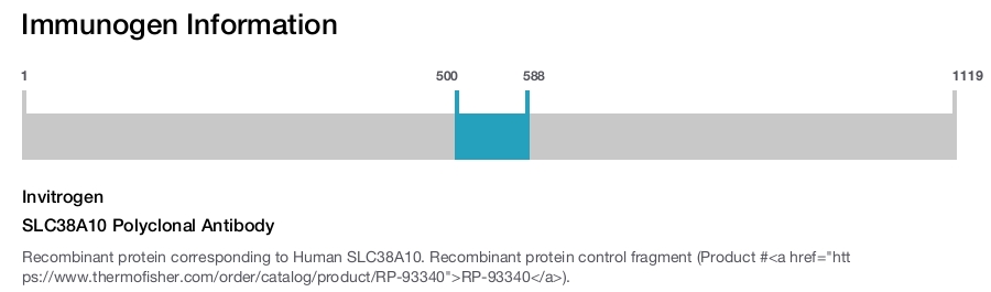 SLC38A10 Polyclonal Antibody