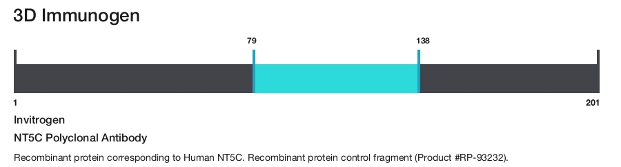 NT5C Polyclonal Antibody