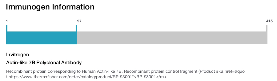 Actin-like 7B Polyclonal Antibody