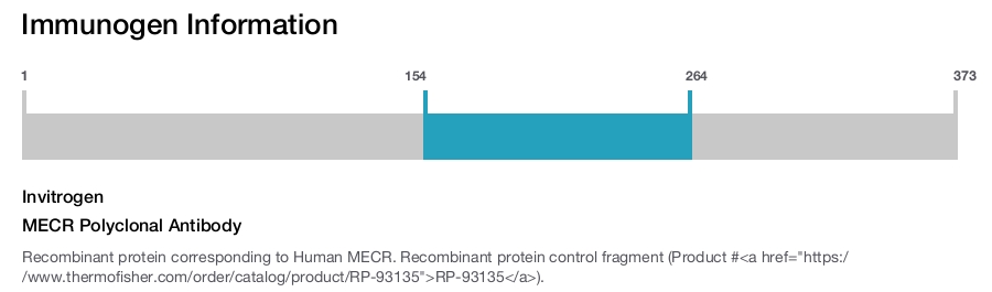 MECR Polyclonal Antibody