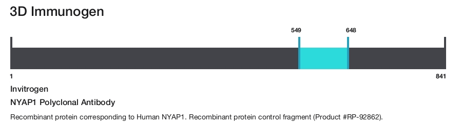NYAP1 Polyclonal Antibody