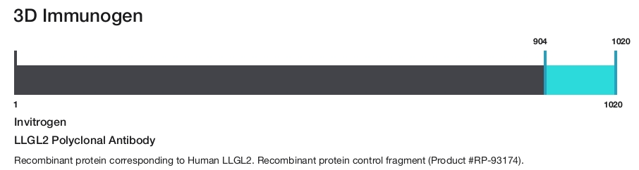 LLGL2 Polyclonal Antibody