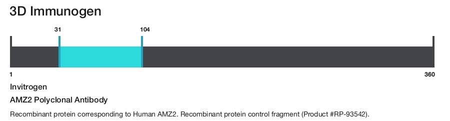 AMZ2 Polyclonal Antibody