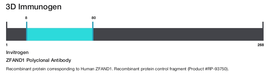 ZFAND1 Polyclonal Antibody