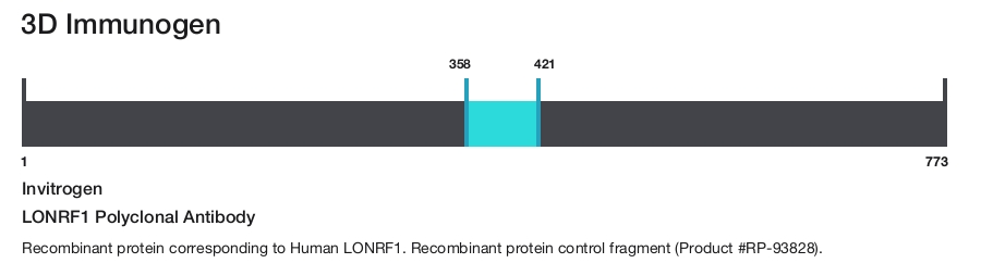 LONRF1 Polyclonal Antibody
