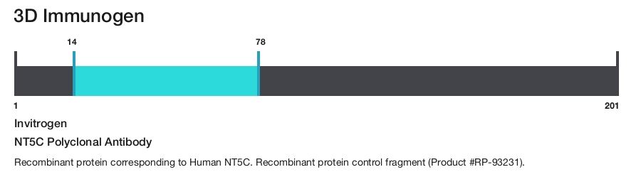 NT5C Polyclonal Antibody