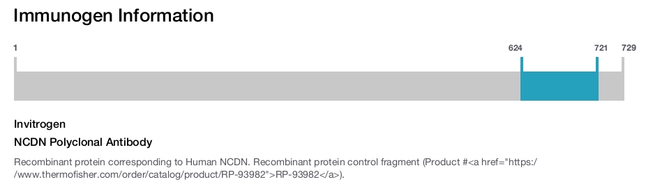 NCDN Polyclonal Antibody