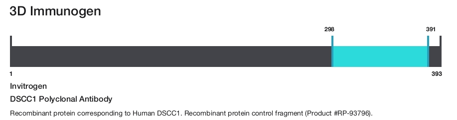 DSCC1 Polyclonal Antibody