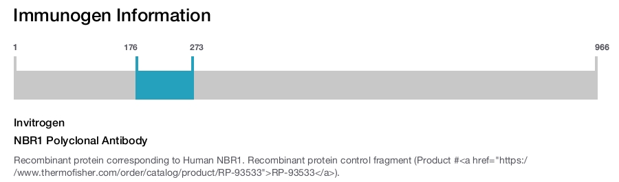 NBR1 Polyclonal Antibody