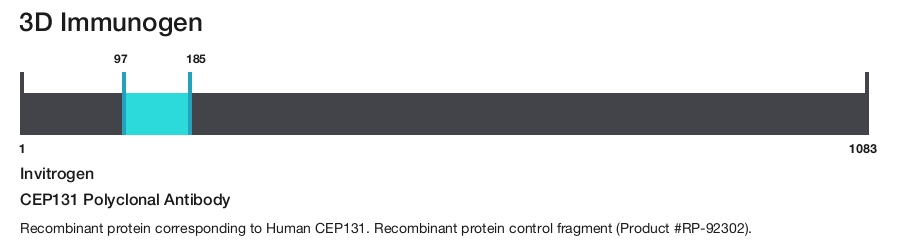 CEP131 Polyclonal Antibody