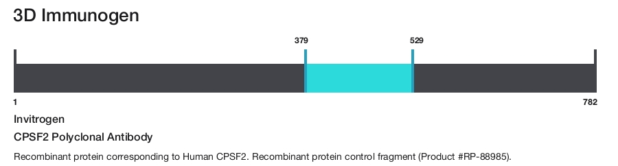 CPSF2 Polyclonal Antibody