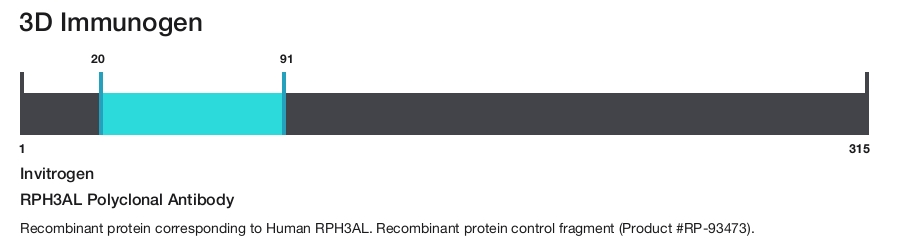 RPH3AL Polyclonal Antibody