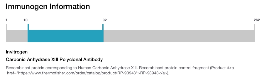 Carbonic Anhydrase XIII Polyclonal Antibody